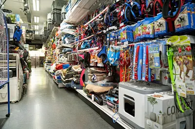 Sklep zoologiczny | Zoo-Natura Elżbieta Wiktorowicz